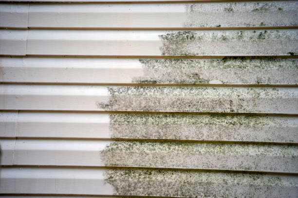 Best Basement Cleanout  in Bowling Green, MO